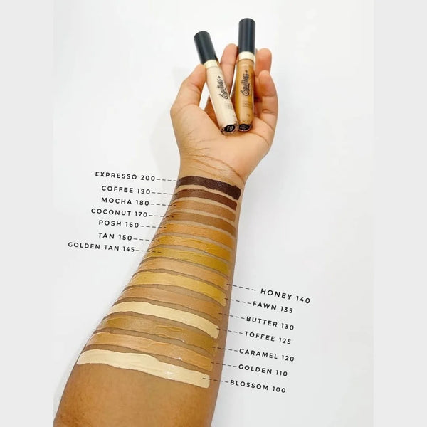 Spotless Bloom Concealer